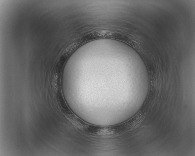 X0000056360319200509232138
