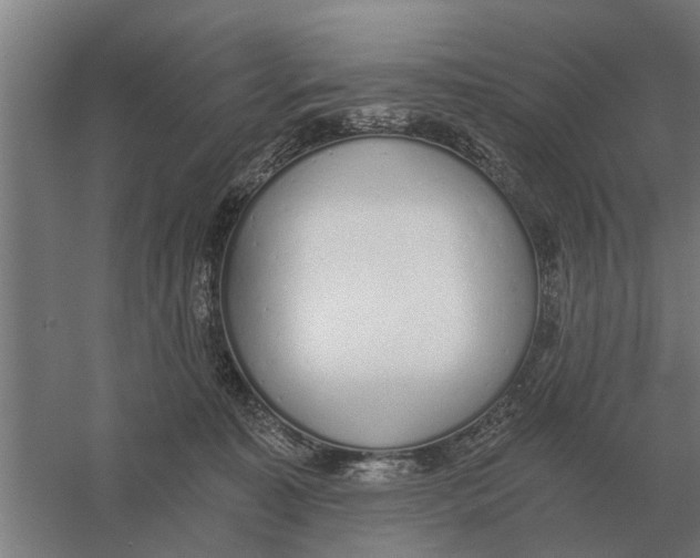 X0000056360323200509232138
