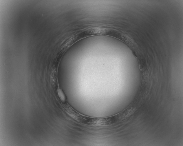 X0000056360325200509232138