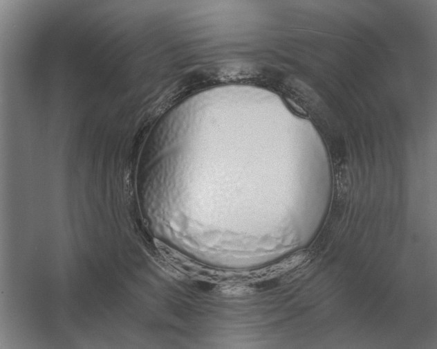 X0000056360327200509232138