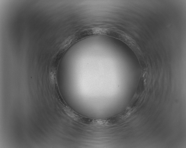 X0000056360329200509232138