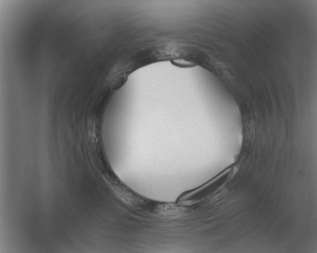 X0000056360331200509232138