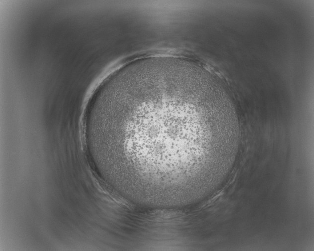 X0000056360343200509232137