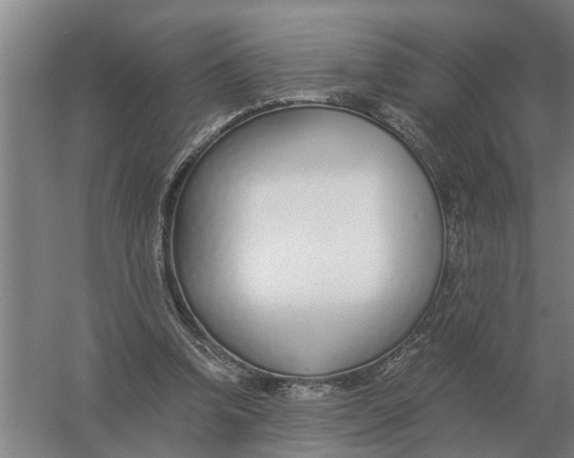 X0000056360346200509232137