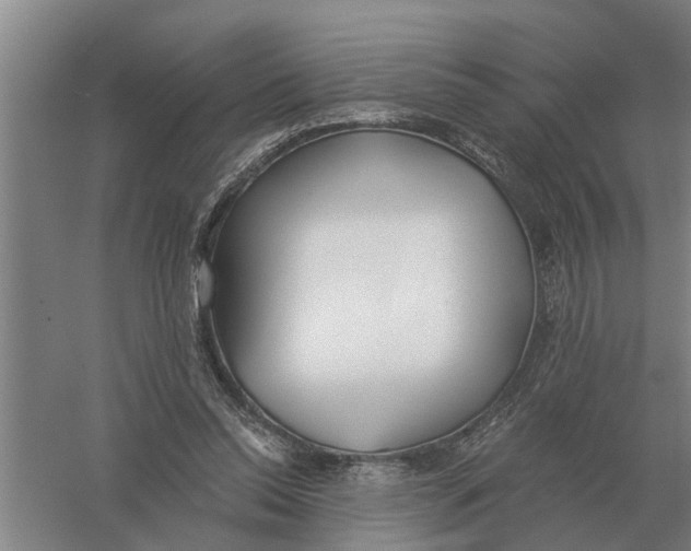 X0000056360350200509232137