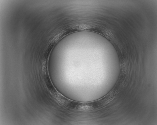 X0000056360360200509232137
