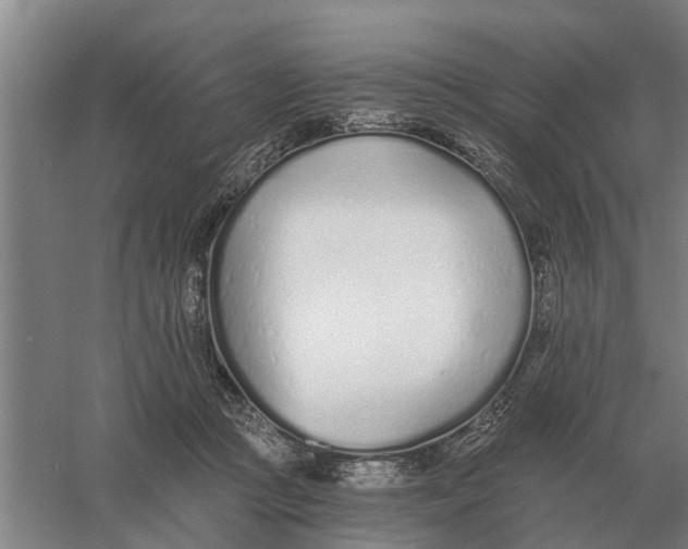 X0000056360361200509232137
