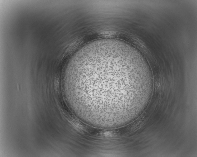 X0000056360365200509232138