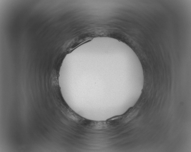 X0000056360384200509232138