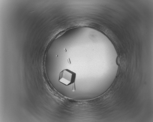 X0000056360386200509232137