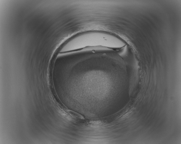 X0000056360391200509232137
