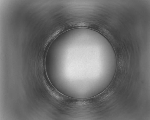 X0000056360394200509232137