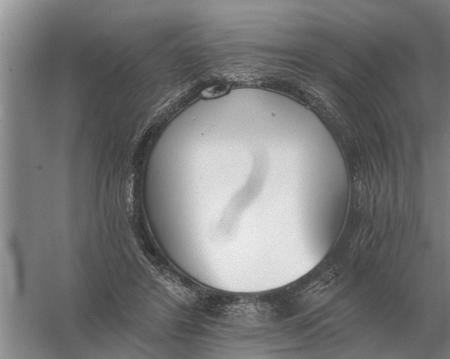 X0000056360404200509232137