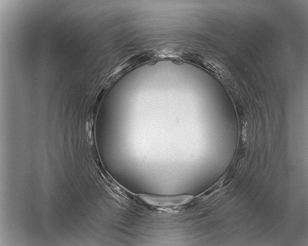 X0000056360409200509232137