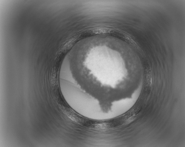 X0000056360411200509232137