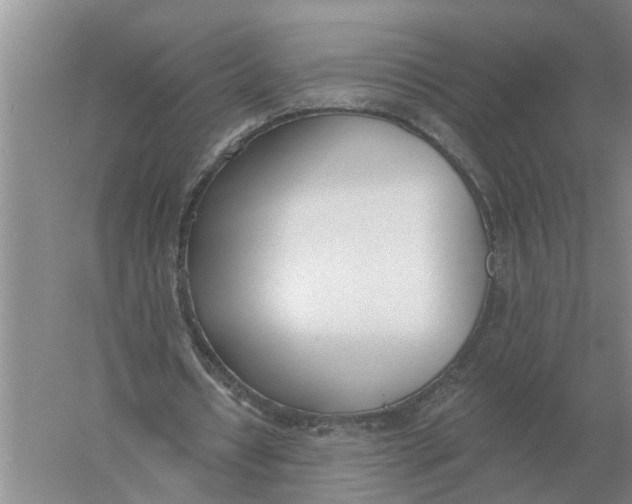 X0000056360434200509232135