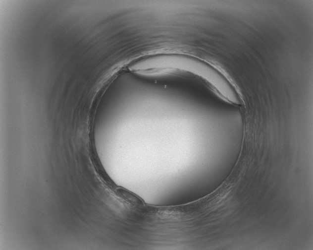 X0000056360437200509232136