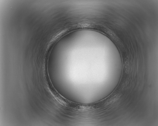 X0000056360442200509232136
