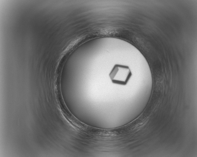 X0000056360443200509232136