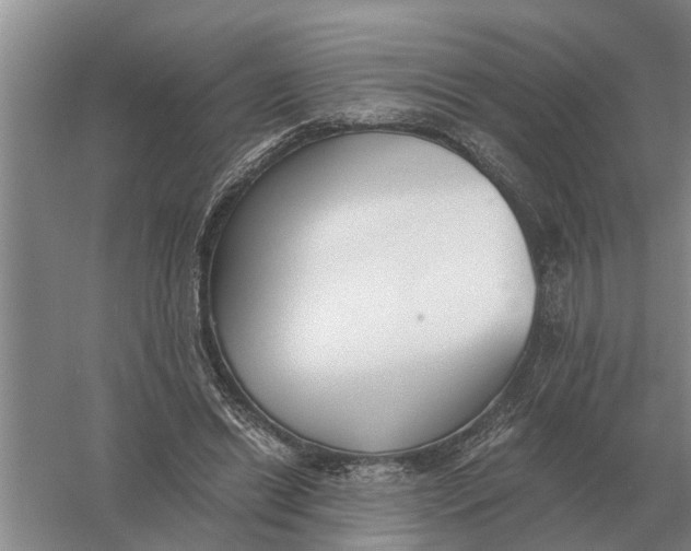 X0000056360446200509232136
