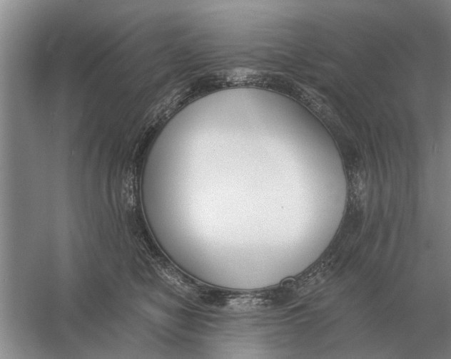X0000056360470200509232136