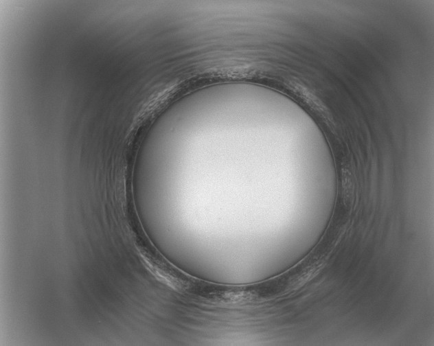 X0000056360493200509232135