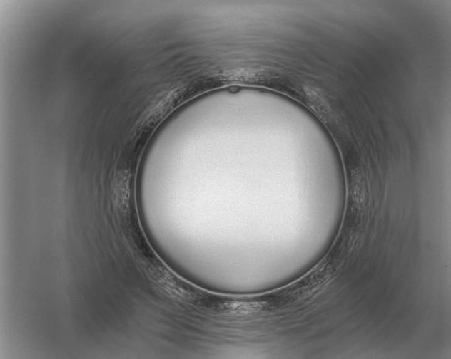 X0000056360495200509232135