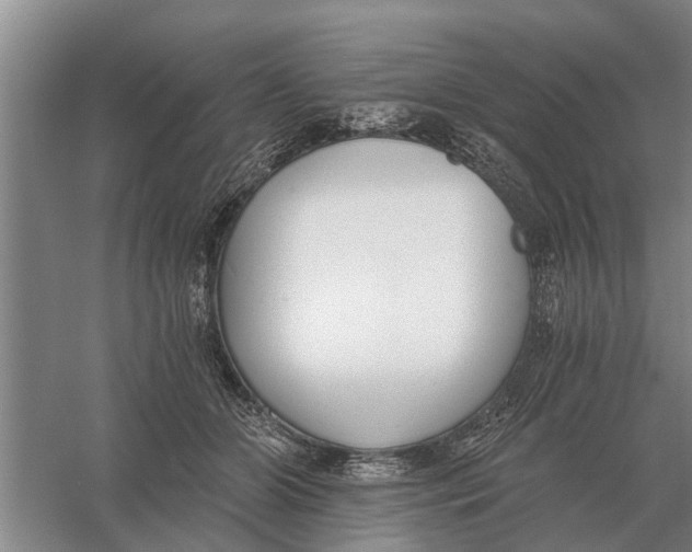 X0000056360510200509232135