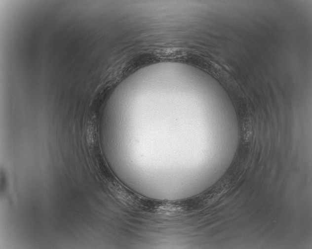 X0000056360515200509232135