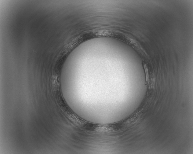 X0000056360521200509232135