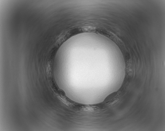 X0000056360523200509232135