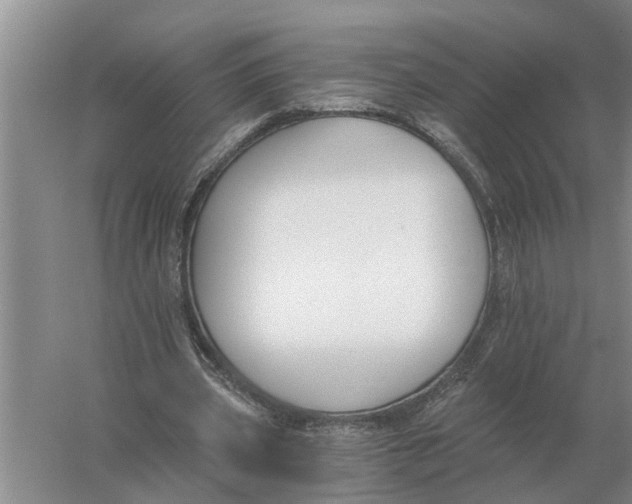 X0000056360533200509232134