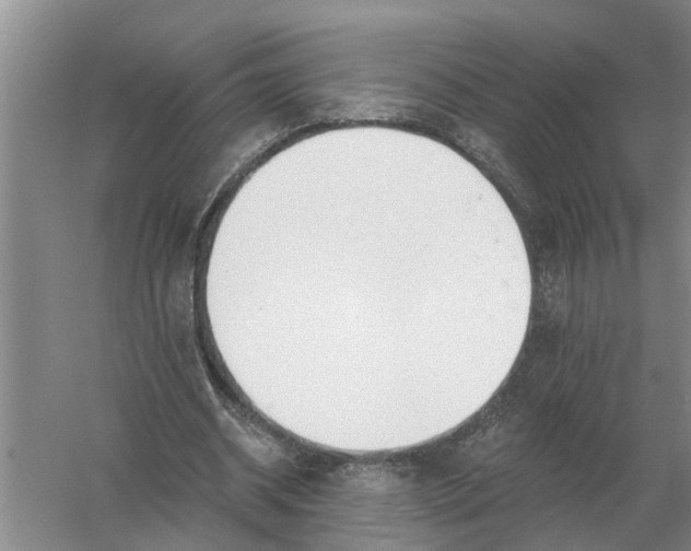 X0000056360534200509232134
