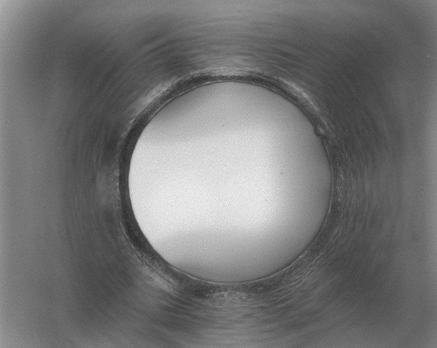 X0000056360535200509232134