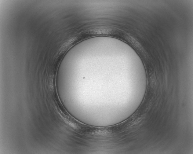 X0000056360537200509232134