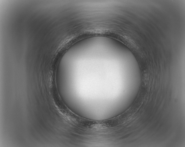 X0000056360544200509232134