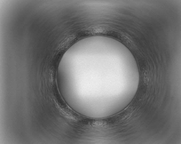 X0000056360546200509232134