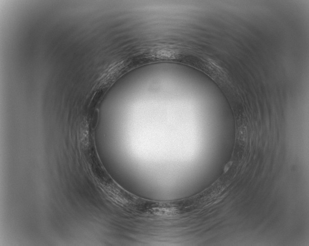 X0000056360552200509232134