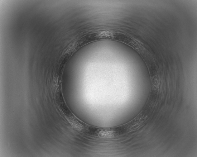 X0000056360560200509232134