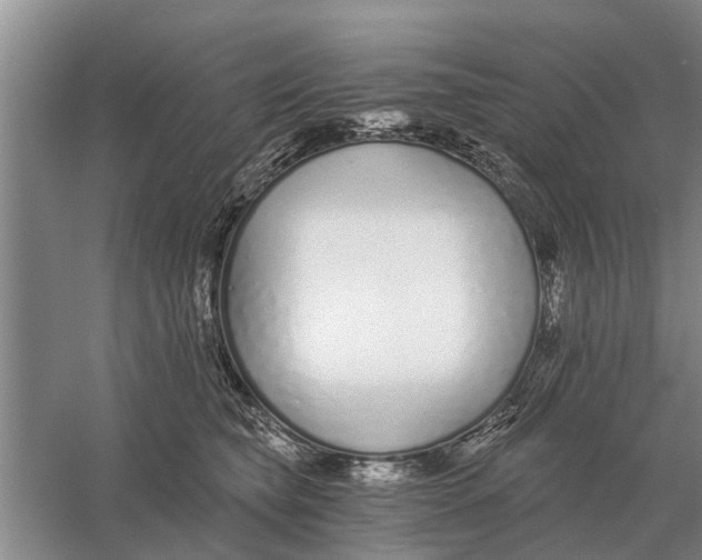 X0000056360565200509232134