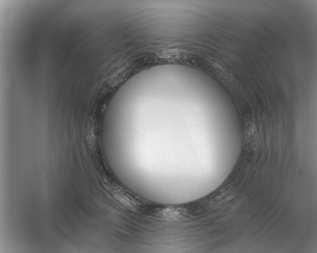 X0000056360566200509232134
