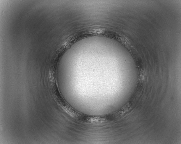 X0000056360568200509232134