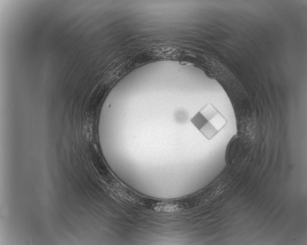 X0000056360602200509232133