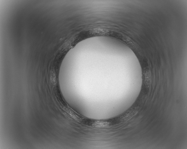 X0000056360617200509232133