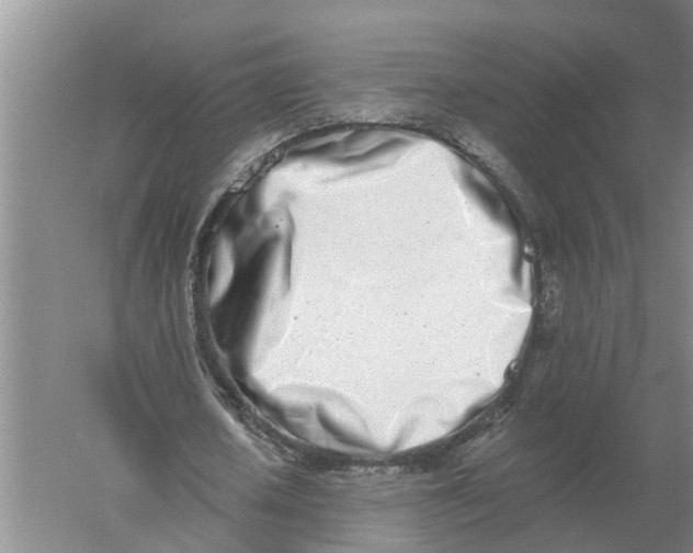 X0000056360626200509232132