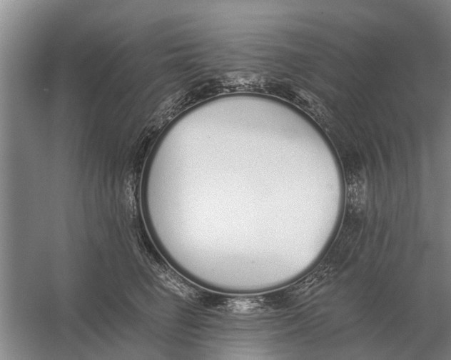 X0000056360662200509232133