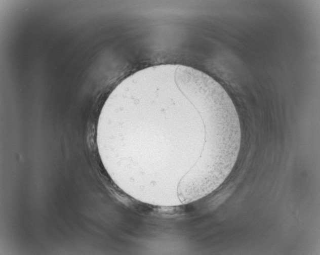 X0000056360672200509232133