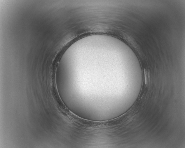 X0000056360675200509232132