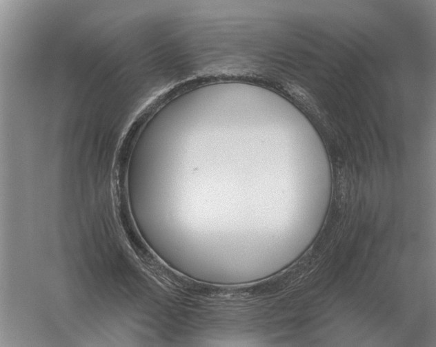 X0000056360680200509232132