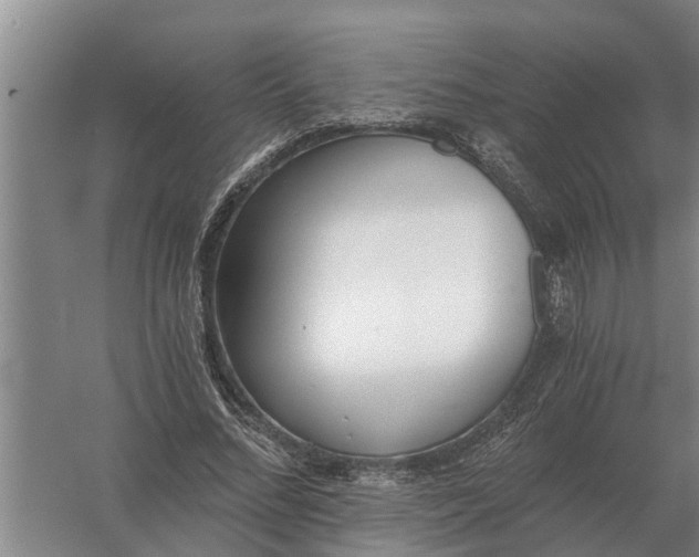 X0000056360684200509232132